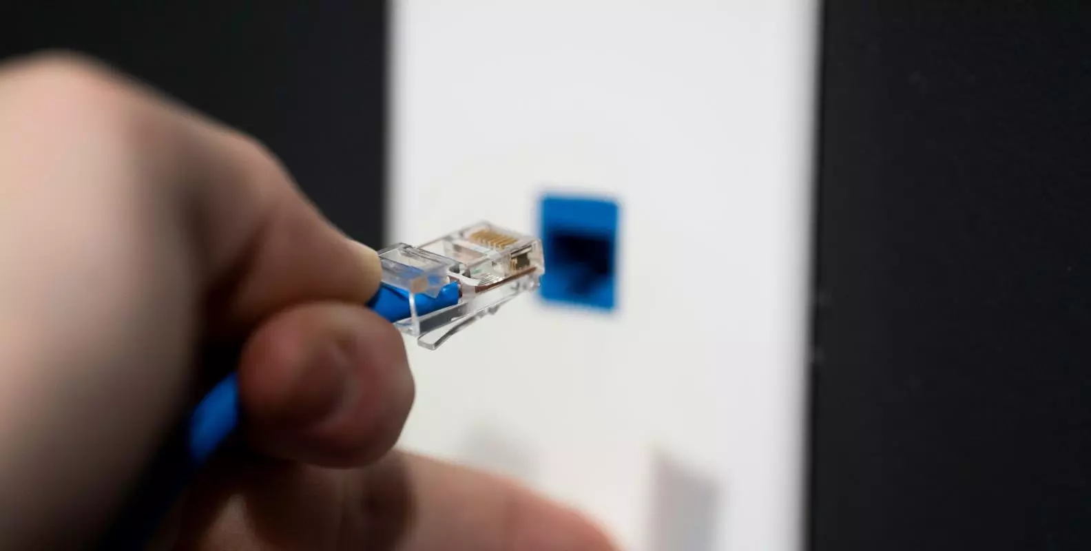Network cable