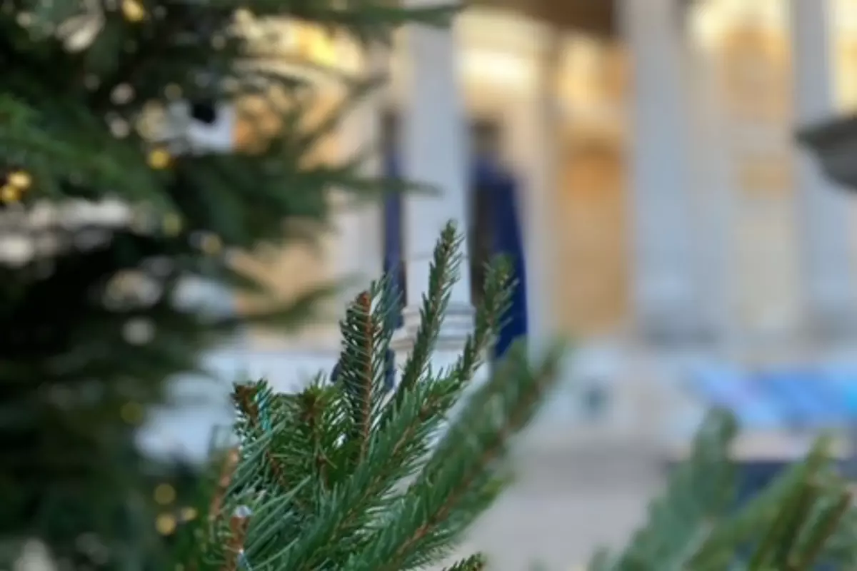 firtree