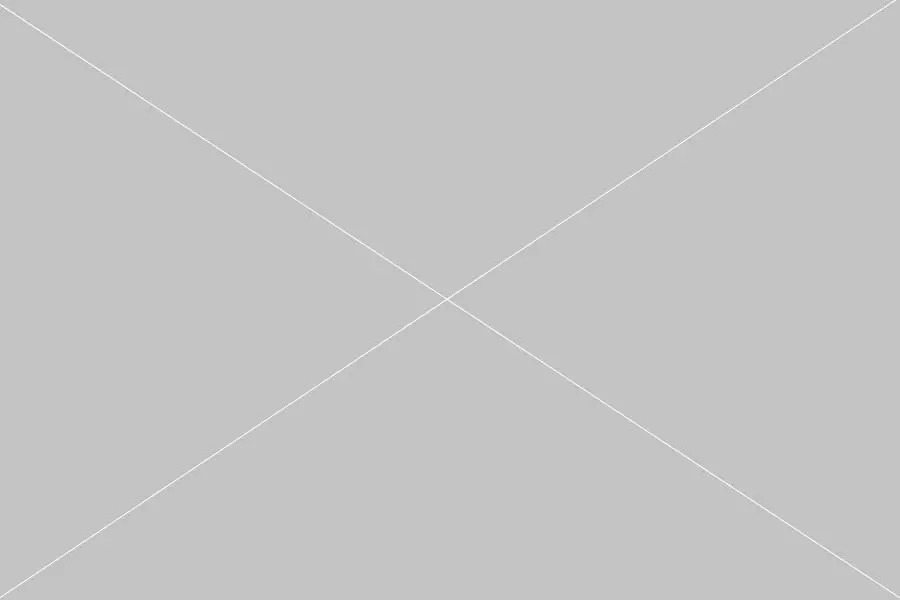 grid placeholder